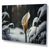 A Blooming White Calla Lily Flower Winter II Canvas Canvas