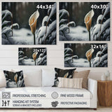 A Blooming White Calla Lily Flower Winter II Canvas Canvas