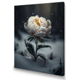 A Blooming White Peony Flower In Winter II Canvas Canvas