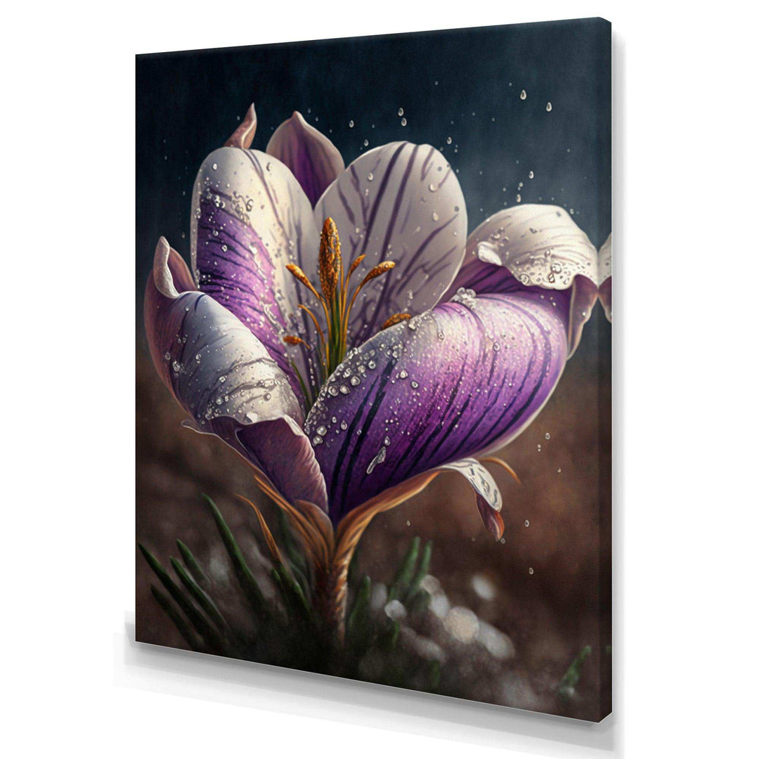 Blooming Crocus I