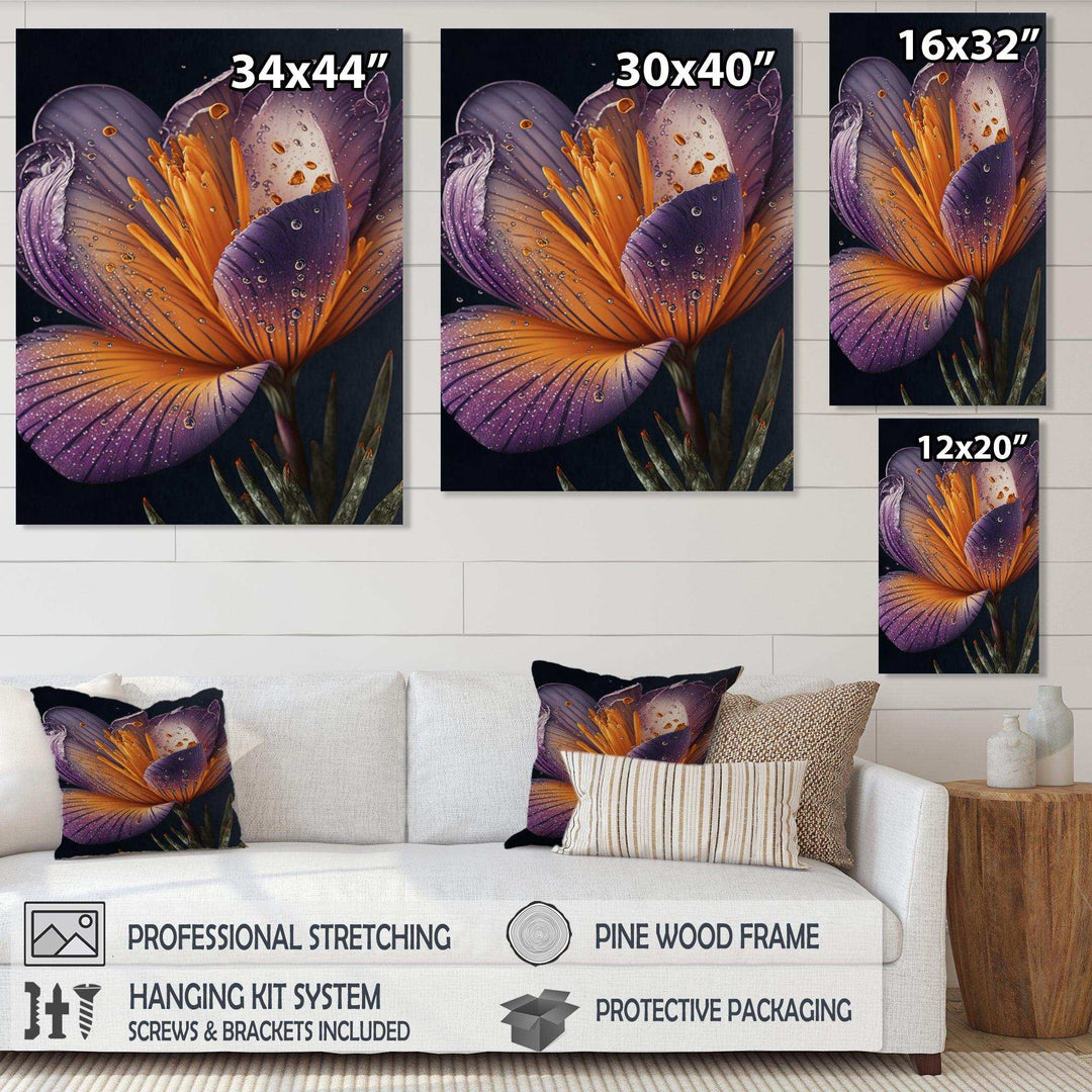 Blooming Crocus II