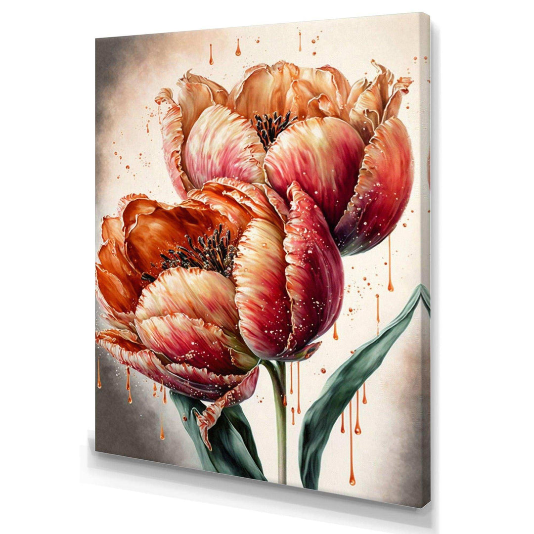 Blooming Red Tulip