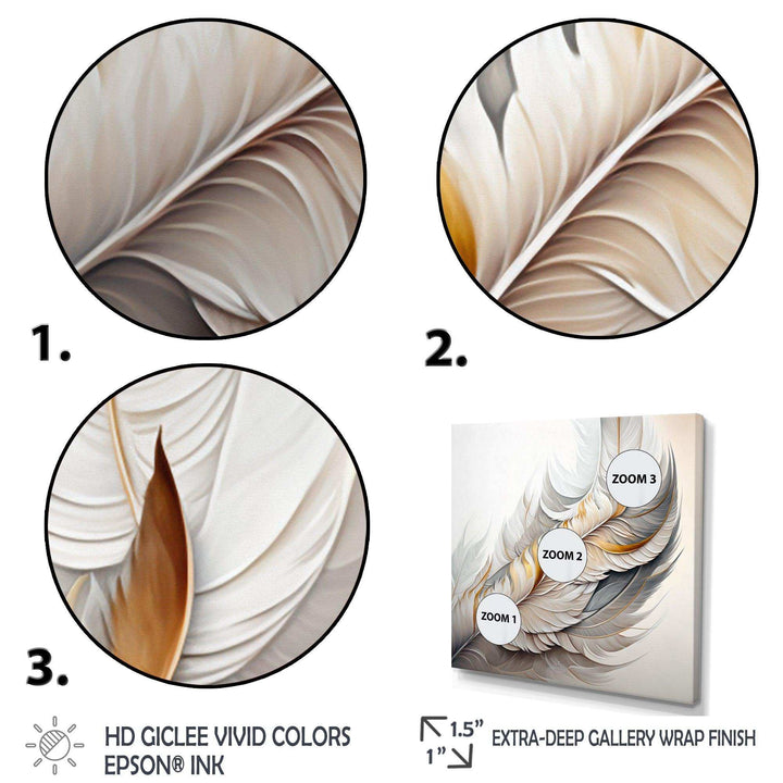 White Watercolor Feather  - Modern Wall Art Prints