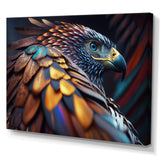 Macro Colorful Feather Eagle VI