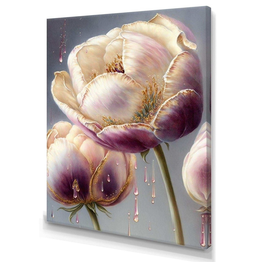 Cream And Purple Tulip II