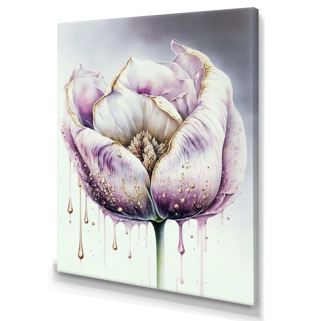 Cream And Purple Tulip III