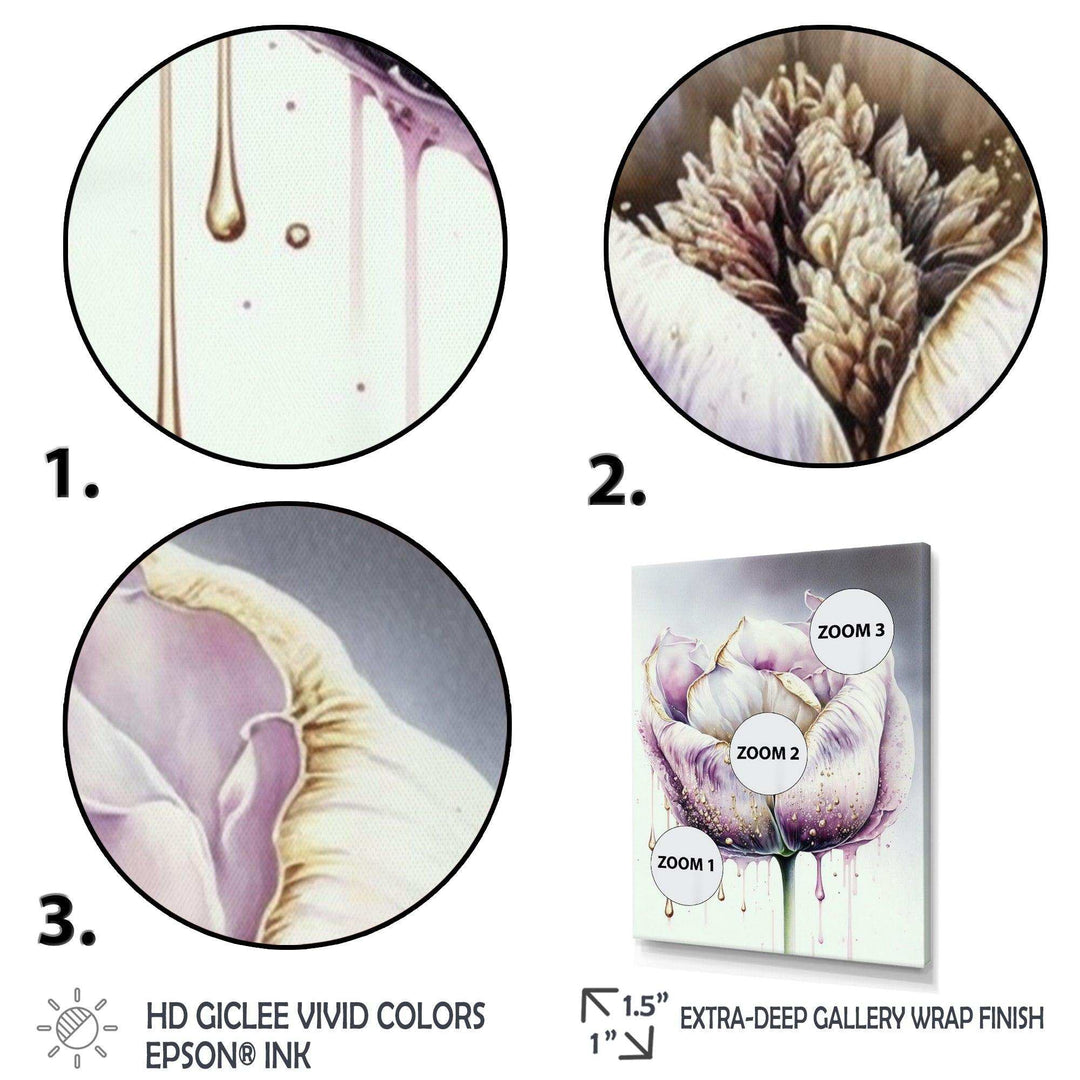 Cream And Purple Tulip III