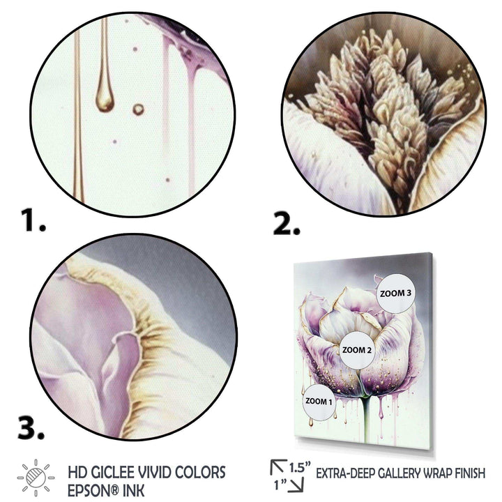 Cream And Purple Tulip III
