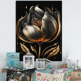 Black And Gold Tulip