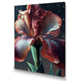 Red Gladiolus Flowers I