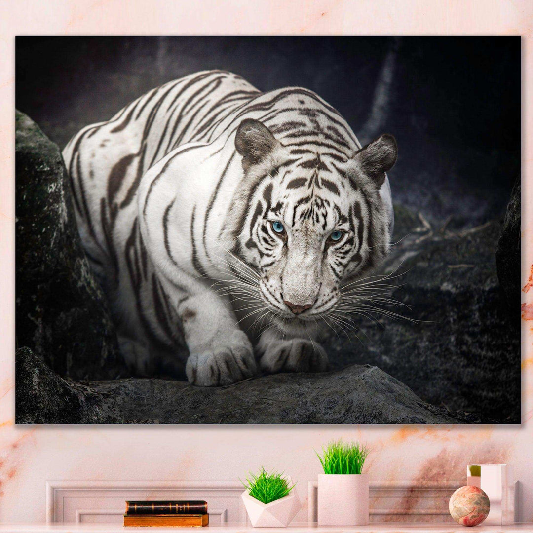 White Tiger
