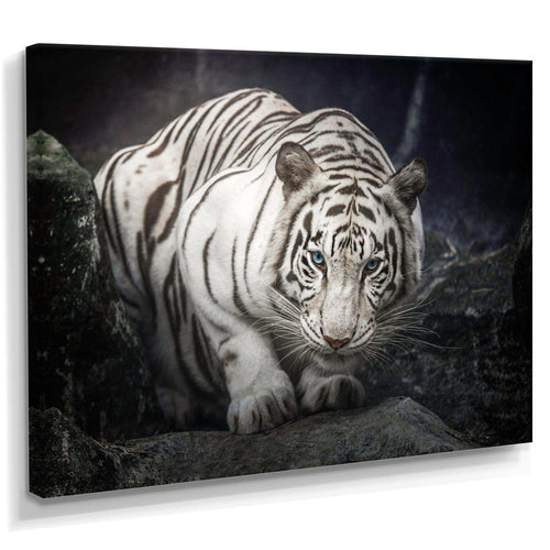 White Tiger
