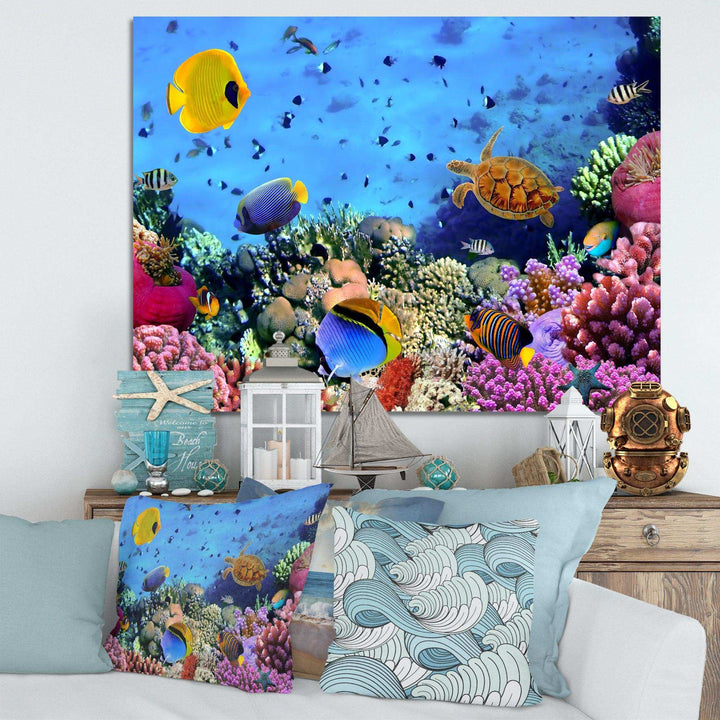 Coral Colony and Coral Fishes