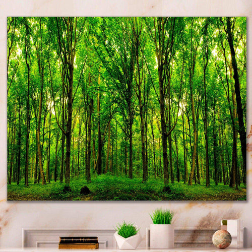 Green Forest