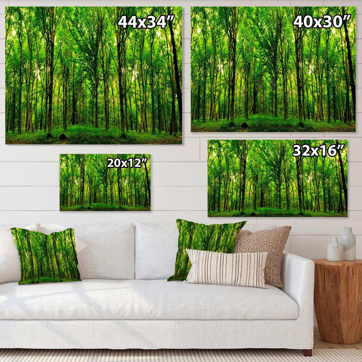 Green Forest
