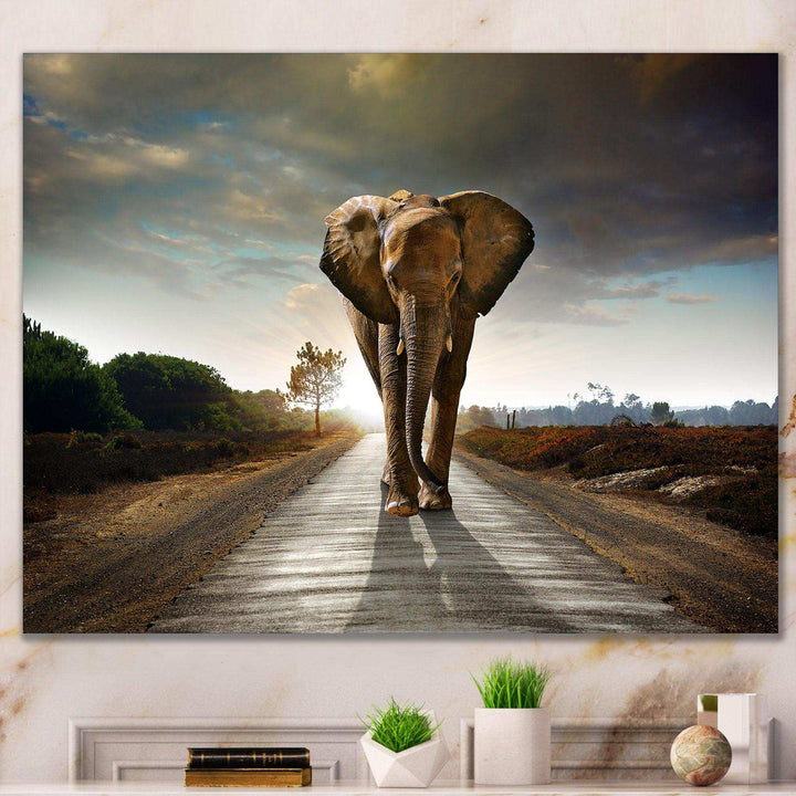 Single Walking Elephant