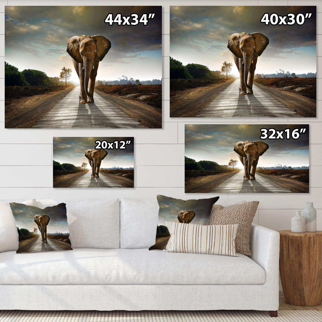 Single Walking Elephant