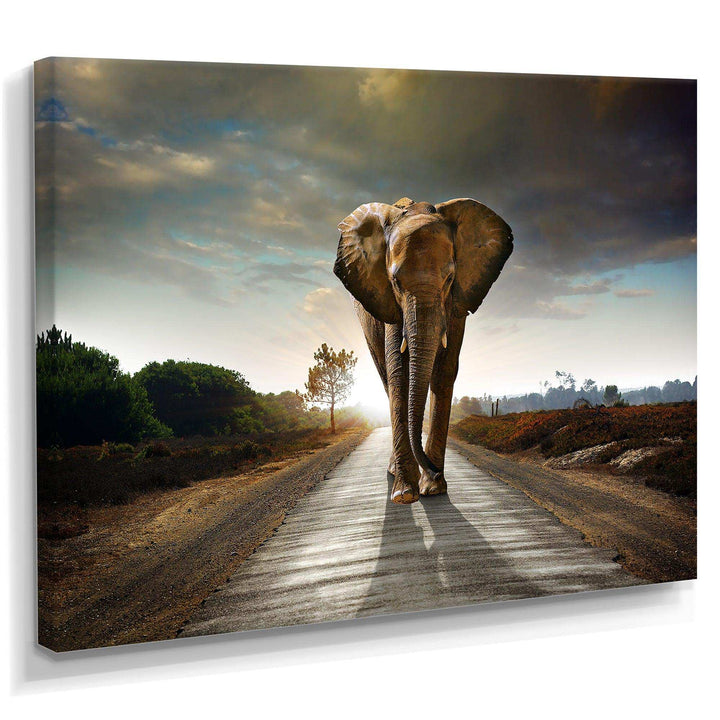 Single Walking Elephant