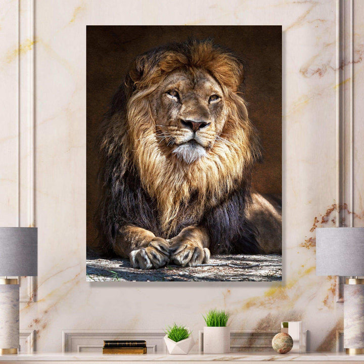 King Lion with Lighted Face