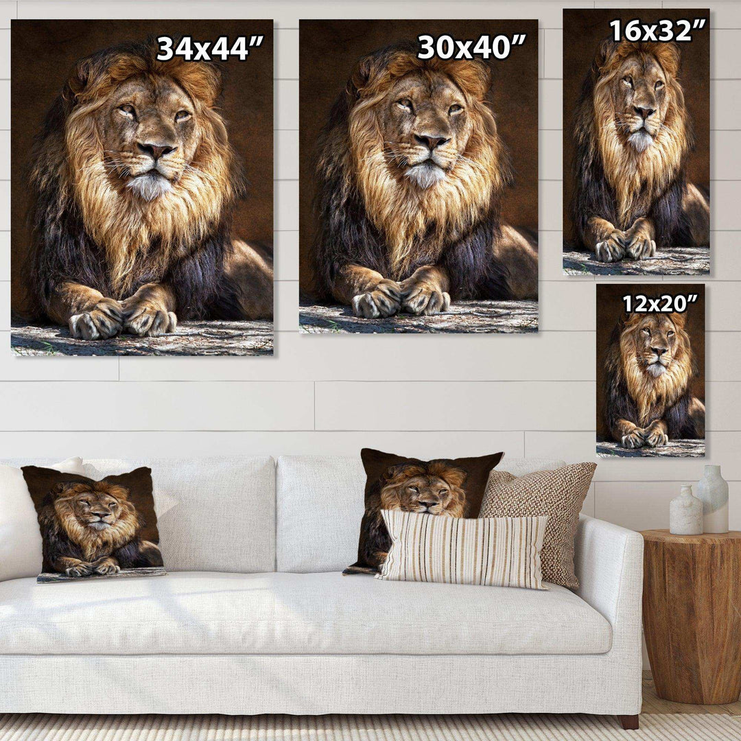 King Lion with Lighted Face