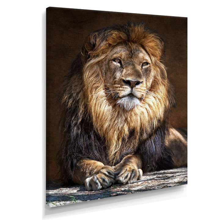King Lion with Lighted Face