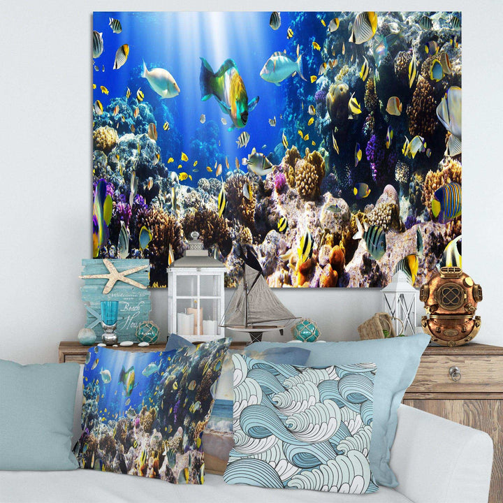 Coral Colony and Coral Fish