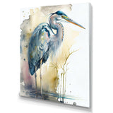 Heron By The Waterside Watercolour III