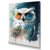 Cool White Owl With Funky Sunglasses II