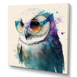 Cool White Owl With Funky Sunglasses III