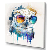 Cool White Owl With Funky Sunglasses IV