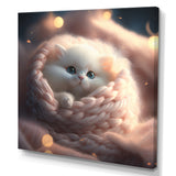 Cute Little White Kitten In Knitted Nest