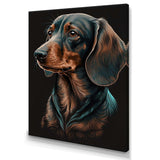 Dachshund On Black I