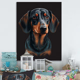 Dachshund On Black II