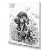 Black And White Dachshund