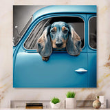 Portrait Of A Dachshund In A Blue Car I