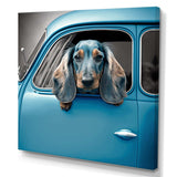 Portrait Of A Dachshund In A Blue Car I