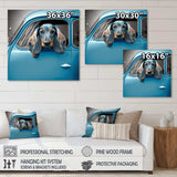 Portrait Of A Dachshund In A Blue Car I