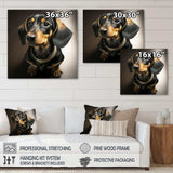 Portrait Of A Black Glam Dachshund I