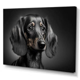 Portrait Of A Black Dachshund I