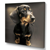 Cute Daschund Portrait