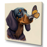 Cartoon Of Bachshund With Butterfly