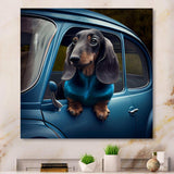 Portrait Of A Dachshund In A Blue Car III