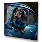 Portrait Of A Dachshund In A Blue Car III