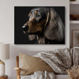 Portrait Of A Contemporary Dachshund