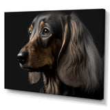 Portrait Of A Contemporary Dachshund