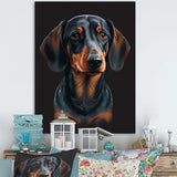 Portrait Of  Black And Brown Dachshund