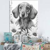 Black Dachshund With White Flowers I