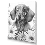 Black Dachshund With White Flowers I