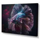 Magnificent Bettafish In Shades Of Blue And Purple III