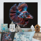 Magnificent Bettafish In Shades Of Blue And Purple IV